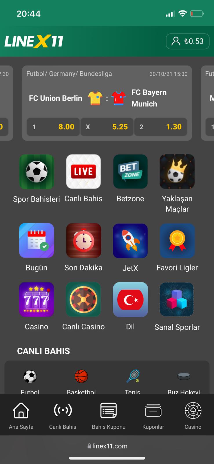 linex11.com Casinolu Kiralık bahis sayfası